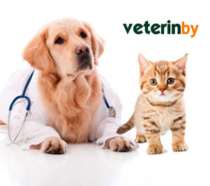 Clinica veterinaria in Romania