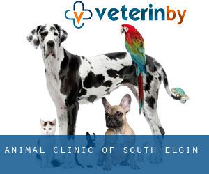 Animal Clinic of South Elgin