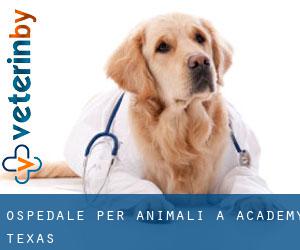 Ospedale per animali a Academy (Texas)