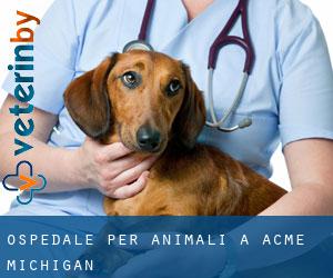 Ospedale per animali a Acme (Michigan)