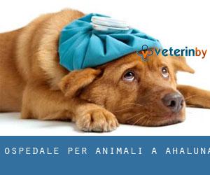 Ospedale per animali a Ahaluna