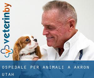 Ospedale per animali a Akron (Utah)