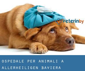 Ospedale per animali a Allerheiligen (Baviera)