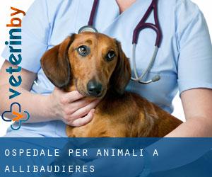 Ospedale per animali a Allibaudières
