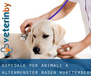 Ospedale per animali a Altenmünster (Baden-Württemberg)