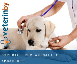 Ospedale per animali a Ambacourt