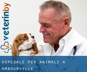 Ospedale per animali a Ambourville