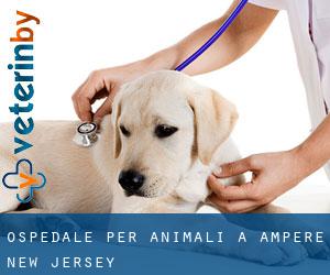 Ospedale per animali a Ampere (New Jersey)
