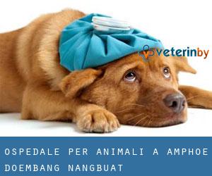 Ospedale per animali a Amphoe Doembang Nangbuat