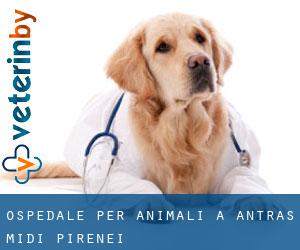 Ospedale per animali a Antras (Midi-Pirenei)