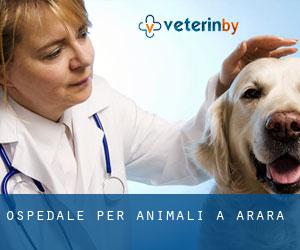 Ospedale per animali a Arara