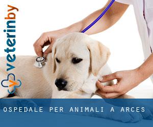 Ospedale per animali a Arces