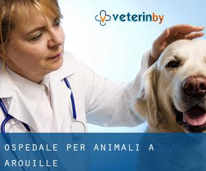 Ospedale per animali a Arouille