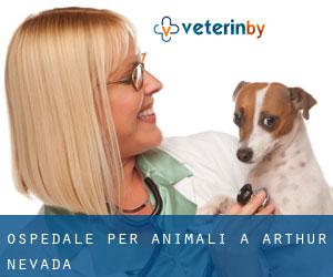Ospedale per animali a Arthur (Nevada)