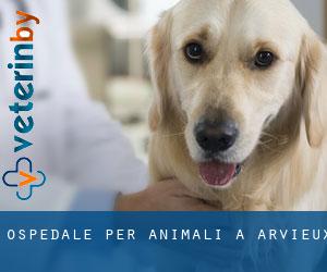 Ospedale per animali a Arvieux