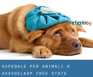 Ospedale per animali a Assvoëlkop (Free State)