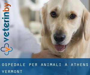 Ospedale per animali a Athens (Vermont)