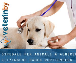 Ospedale per animali a Äußerer Kitzinghof (Baden-Württemberg)