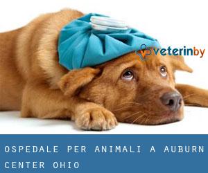 Ospedale per animali a Auburn Center (Ohio)