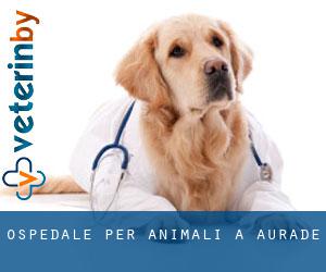 Ospedale per animali a Auradé