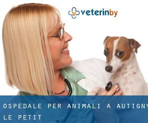Ospedale per animali a Autigny-le-Petit