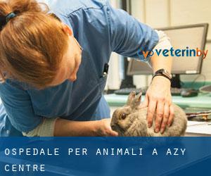 Ospedale per animali a Azy (Centre)