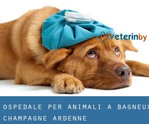 Ospedale per animali a Bagneux (Champagne-Ardenne)