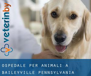 Ospedale per animali a Baileyville (Pennsylvania)