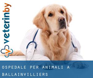 Ospedale per animali a Ballainvilliers
