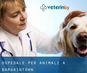 Ospedale per animali a Bargaintown