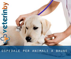 Ospedale per animali a Bauné