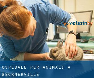 Ospedale per animali a Becknerville