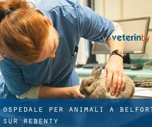 Ospedale per animali a Belfort-sur-Rebenty