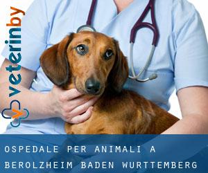 Ospedale per animali a Berolzheim (Baden-Württemberg)