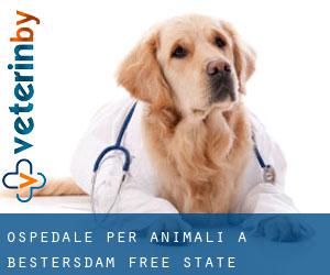 Ospedale per animali a Bestersdam (Free State)