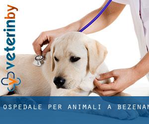 Ospedale per animali a Bézénan