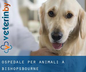 Ospedale per animali a Bishopsbourne
