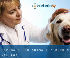 Ospedale per animali a Borden Village