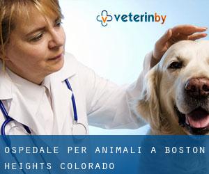 Ospedale per animali a Boston Heights (Colorado)