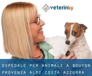 Ospedale per animali a Bouyon (Provenza-Alpi-Costa Azzurra)
