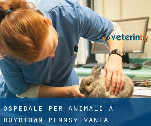 Ospedale per animali a Boydtown (Pennsylvania)