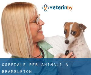 Ospedale per animali a Brambleton