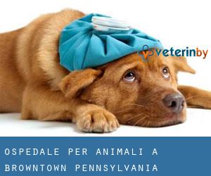 Ospedale per animali a Browntown (Pennsylvania)
