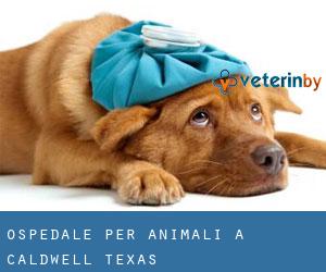 Ospedale per animali a Caldwell (Texas)