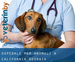Ospedale per animali a California (Georgia)