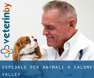 Ospedale per animali a Calomet Valley