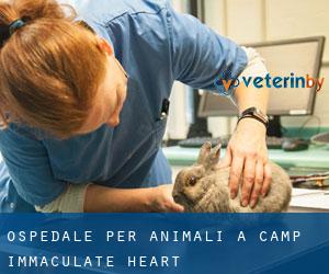 Ospedale per animali a Camp Immaculate Heart