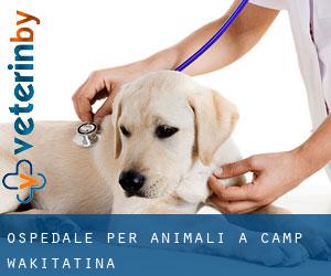 Ospedale per animali a Camp Wakitatina