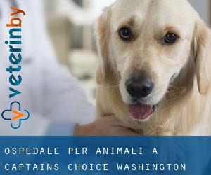 Ospedale per animali a Captains Choice (Washington)