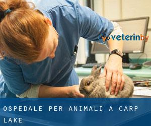 Ospedale per animali a Carp Lake